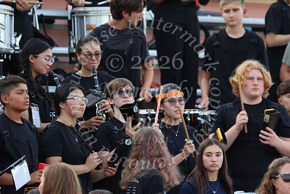 SVL_mb_in_stands_39
