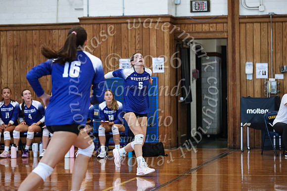 WHS_vb_g_-81