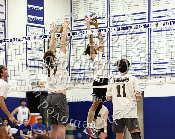 WHS_vb_b_v_52