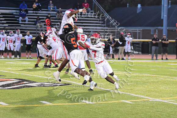SVL_fb_27