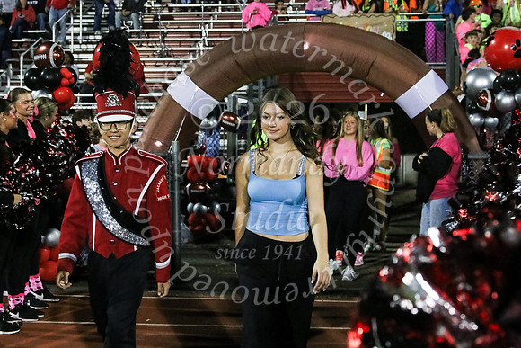 JTH_hc_court_8
