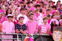 DVH_fans_03
