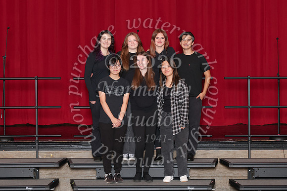 CHS_gala_groups_30
