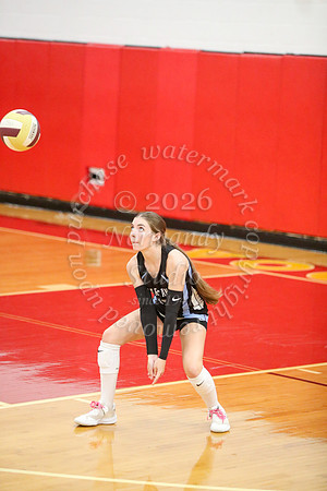 IMC_vb-g_01