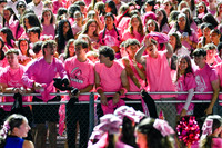 SPF_fans_18