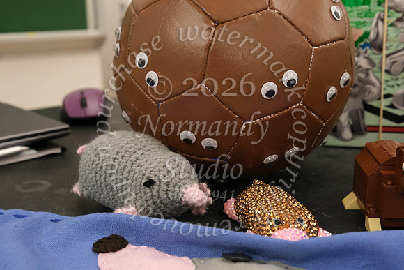 WHS_mole day_03