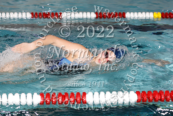 WMC_53_sw-g