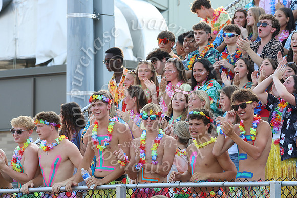 SVL_fb_fans_22