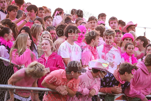 DVH_fans_37