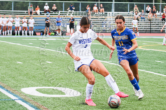 WHS_so-g_25