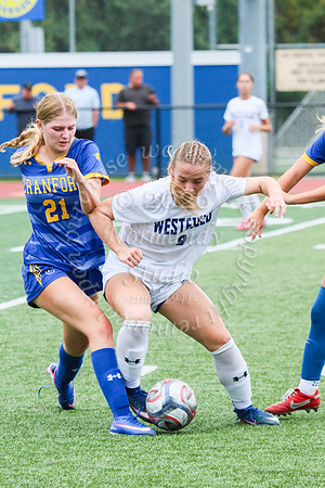 WHS_so-g_54