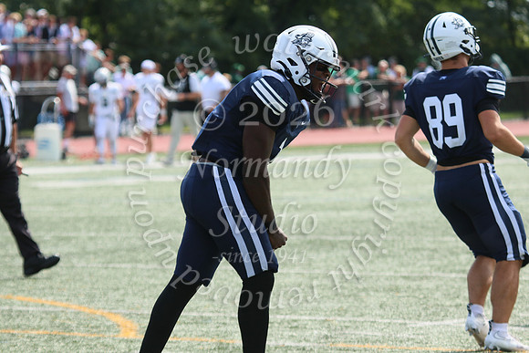 SHP_fb-v_46