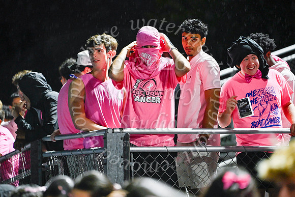 SPF_fans_22