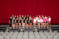 CHS_gala_groups_9