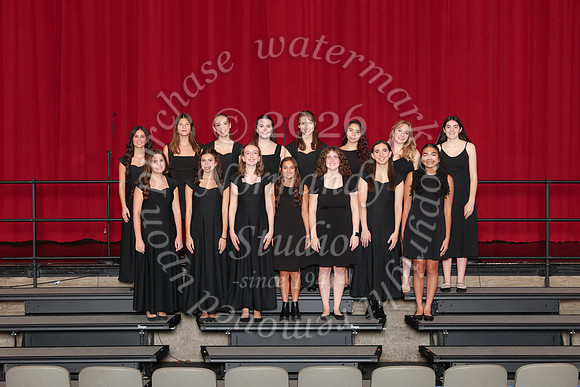 CHS_gala_groups_22