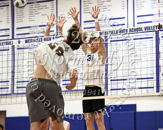 WHS_vb_b_v_46