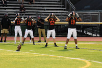 SVL_fb_20