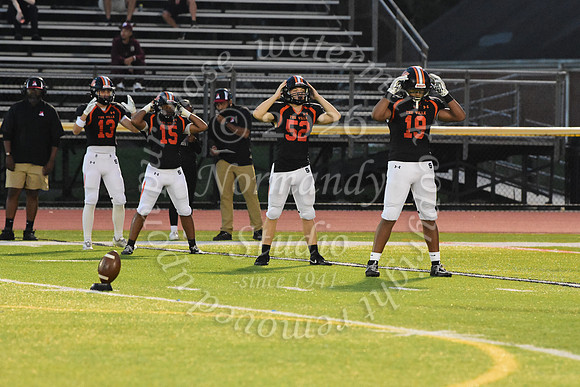 SVL_fb_20