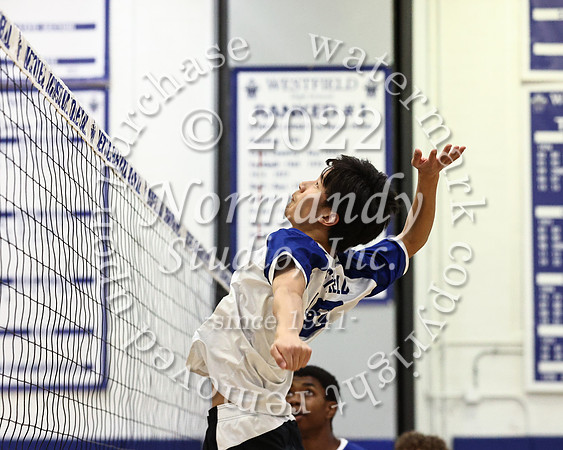WHS_vb_b_j_62