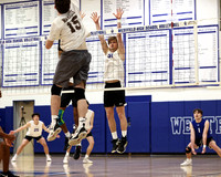 WHS_vb_b_v_12