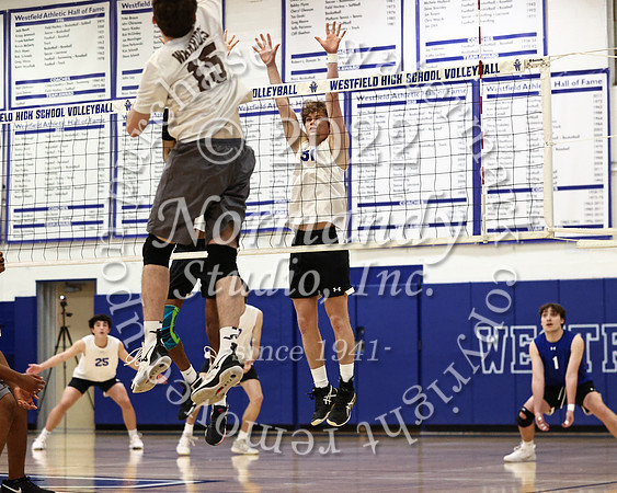 WHS_vb_b_v_12