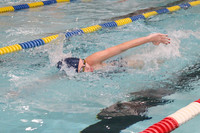 WMC_013_sw-g