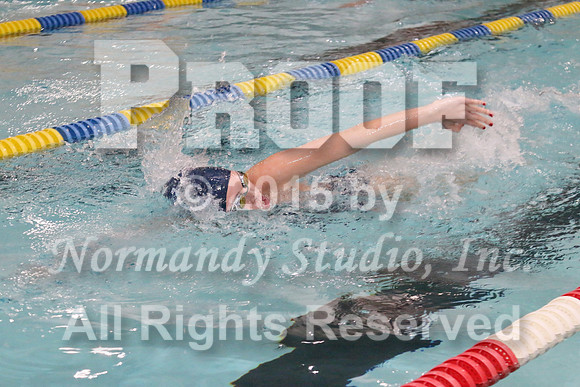 WMC_013_sw-g
