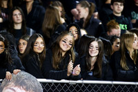 RDG_fb_fans_15