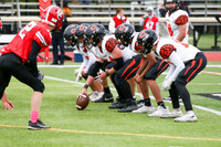 SVL_fb-f_03