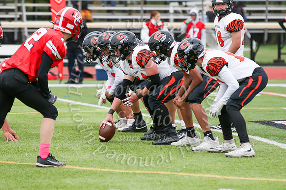 SVL_fb-f_03