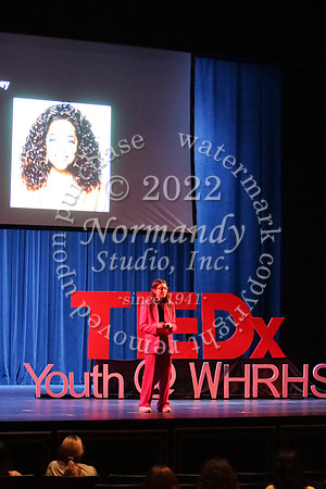 WTG_TEDx_52