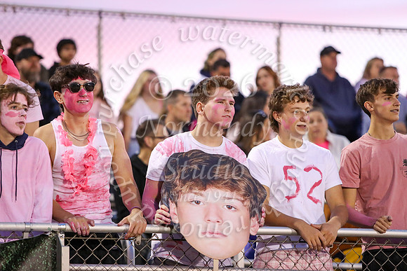 DVH_fans_10
