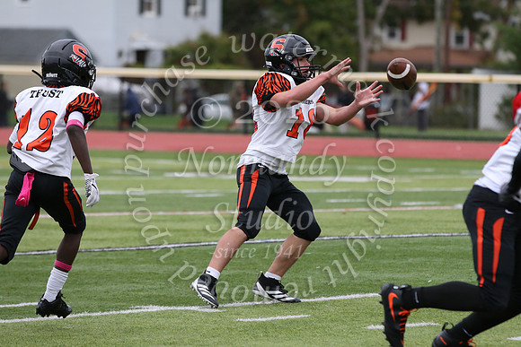 SVL_fb-f_31