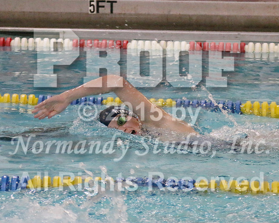 WMC_010_sw-g