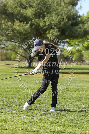 JAC go-g_058