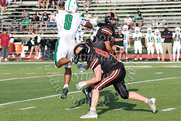 SVL_fb_029