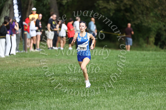 WHS_cc_g_41