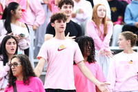MAT_fb_fans_2_8