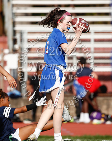 WHS_flag_fb_42