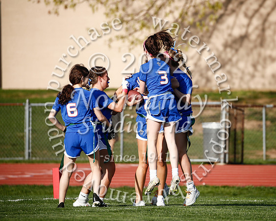 WHS_flag_fb_37