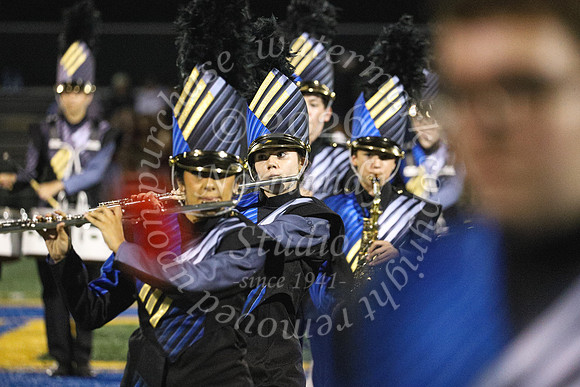 CHS_mb_85