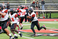 SVL_fb-f_07
