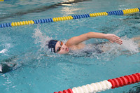 WMC_016_sw-g