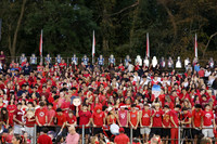 MNP_fb-fans_15