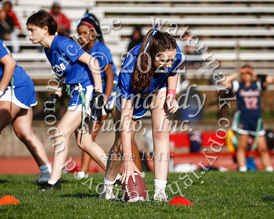 WHS_flag_fb_29