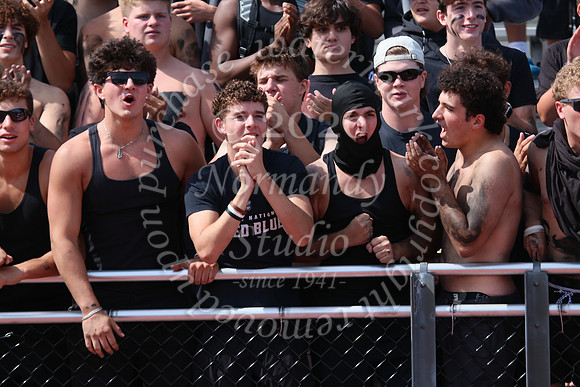 SHP_fans_38