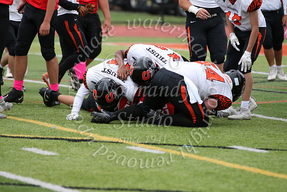 SVL_fb-f_23