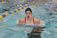 WMC_006_sw-g