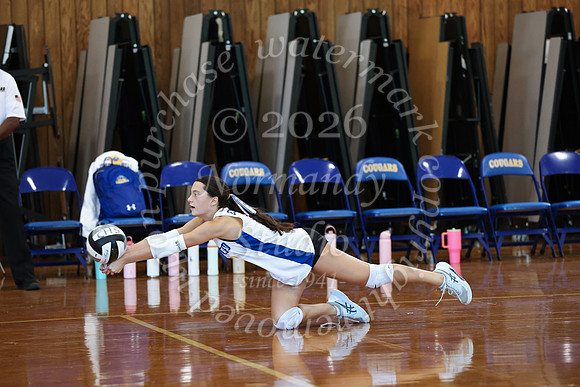 CHS_vb_g_-31
