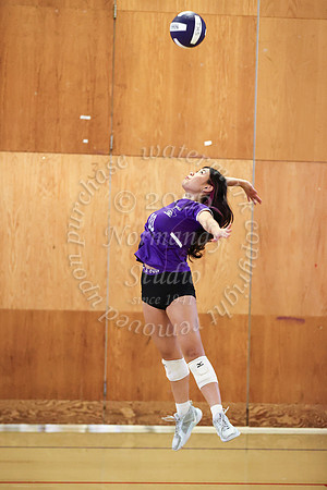TOT_vb_g_-24